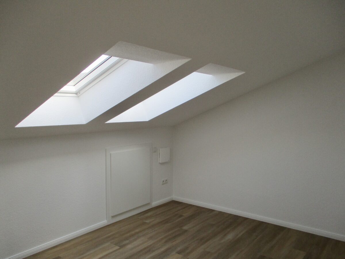 ZIMMER DG